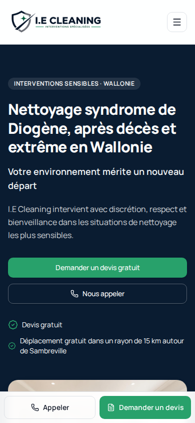 Vue mobile accueil de Cleaning IE